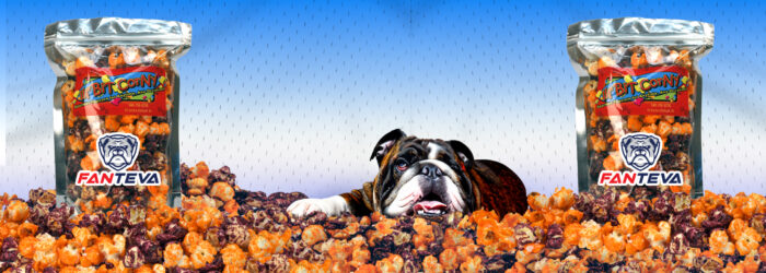 BRANDED POPCORN | GOURMET