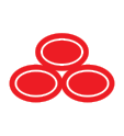 State Farm ICON copy